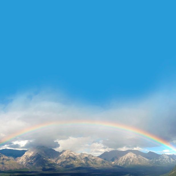 風景虹の iPhone8Plus 壁紙