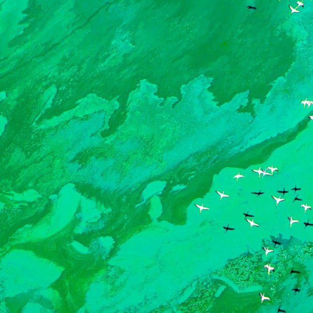 風景海飛行機の iPhone8Plus 壁紙