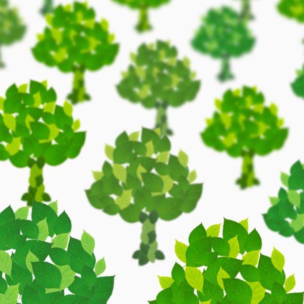 白緑木の iPhone8Plus 壁紙