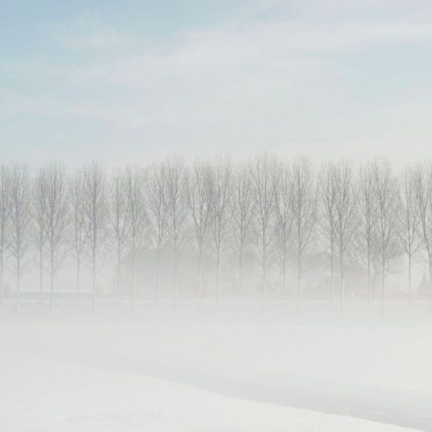 雪景色白の iPhone8Plus 壁紙