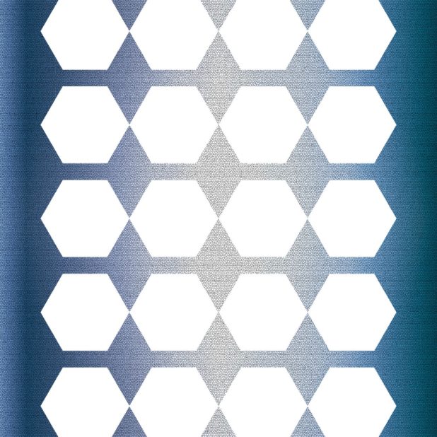 棚青六角形の iPhone8Plus 壁紙