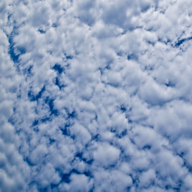 雲空青の iPhone8Plus 壁紙