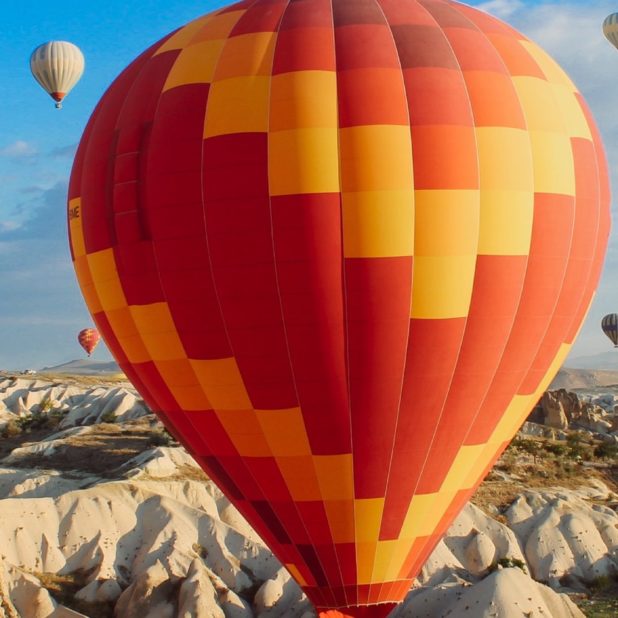 風景空気球赤山の iPhone8Plus 壁紙