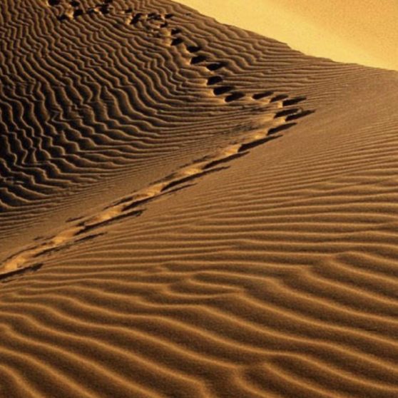 風景砂漠の iPhoneX 壁紙