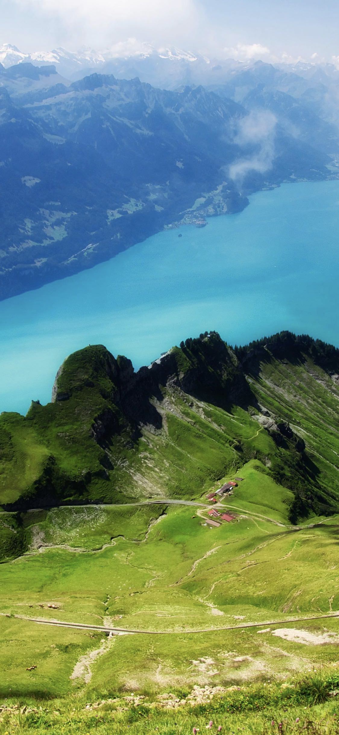 風景草原 Wallpaper Sc Iphonexs壁紙