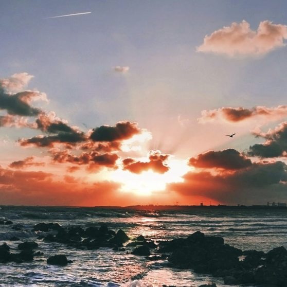 風景海空夕暮れの iPhoneX 壁紙