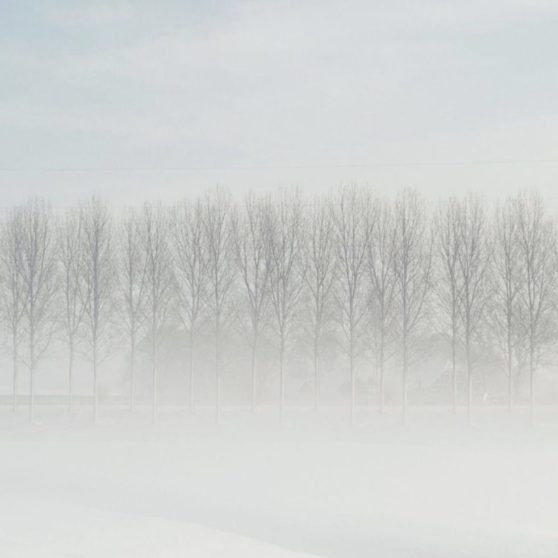雪景色白の iPhoneX 壁紙