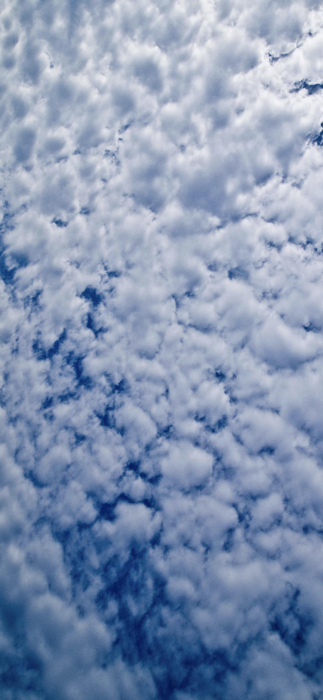 雲空青 Wallpaper Sc Iphonexs壁紙