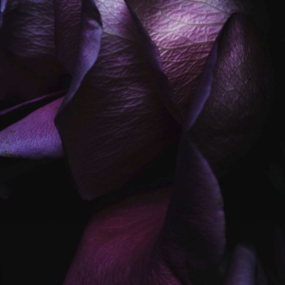 黒紫クールiOS9の iPhoneX 壁紙