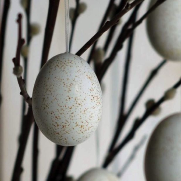 自然絵卵の iPhoneXSMax 壁紙