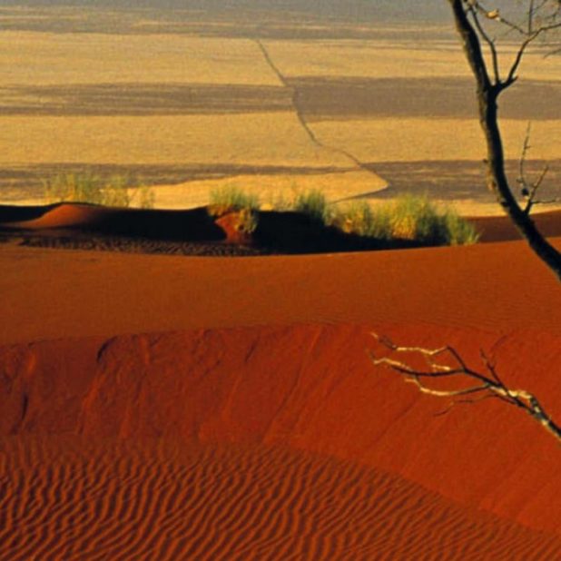 風景砂漠の iPhoneXSMax 壁紙