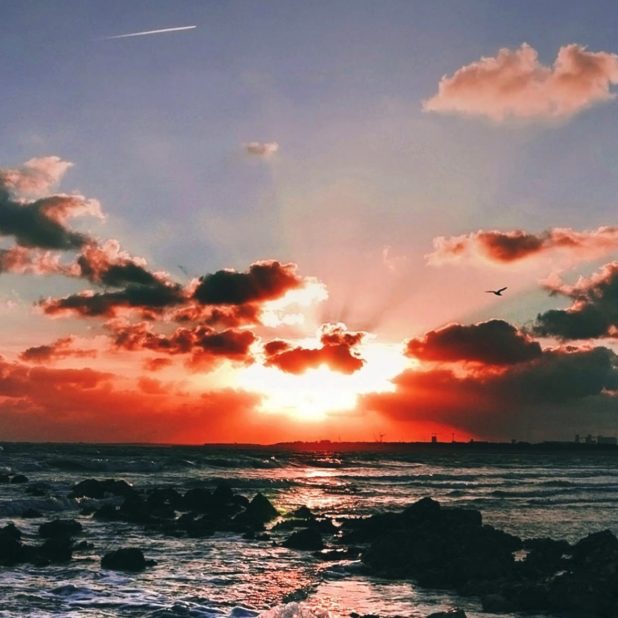 風景海空夕暮れの iPhoneXSMax 壁紙