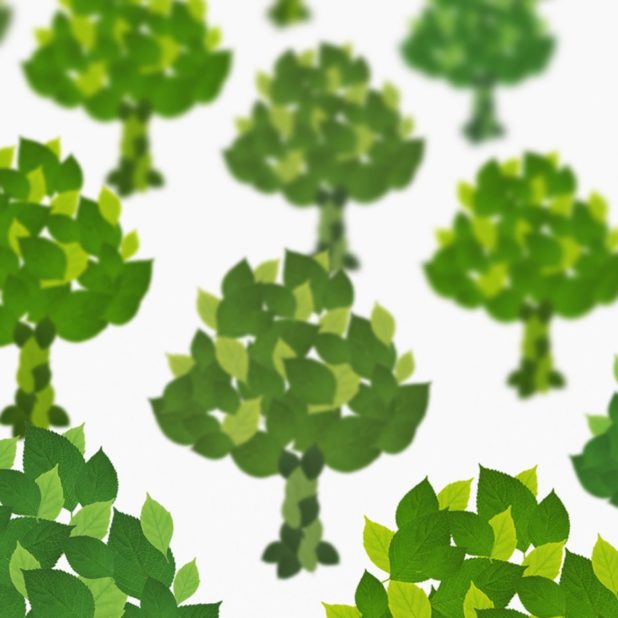 白緑木の iPhoneXSMax 壁紙