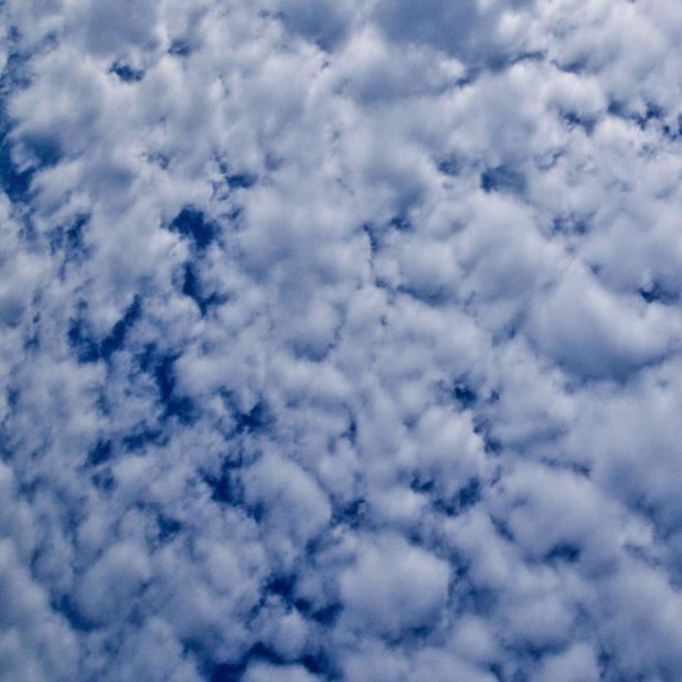 雲空青の iPhoneXSMax 壁紙