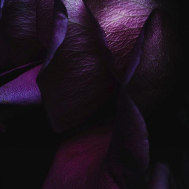 黒紫クールiOS9の iPhoneXSMax 壁紙